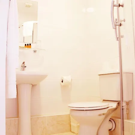 Fitzwilliam Townhouse Pensión 3*